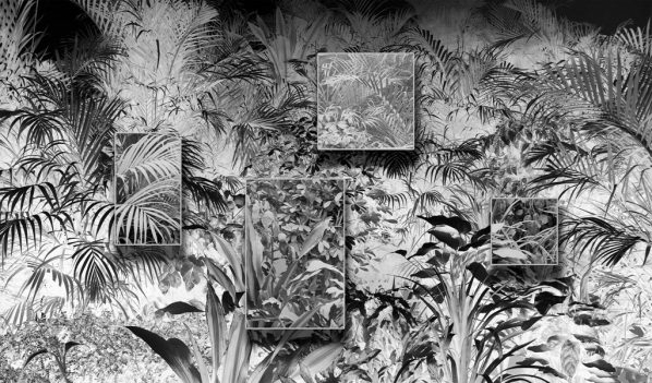 Ji Zhou, Plants Covered in Dust Wallpaper, Archival pigment print, 353x602cm, 2017