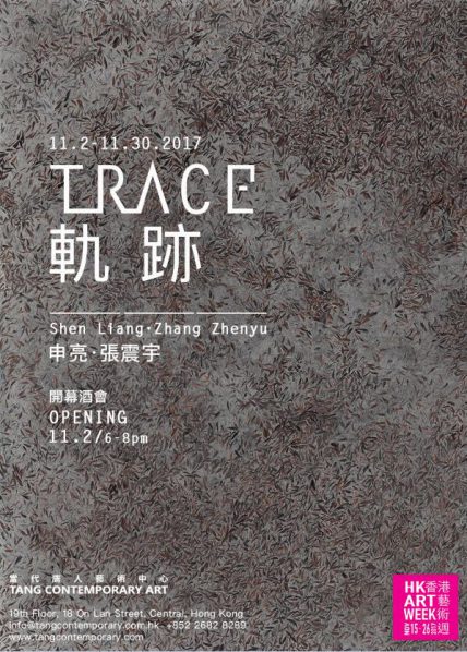 Poster of Trace